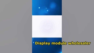 Chinese lcd-fabrikant