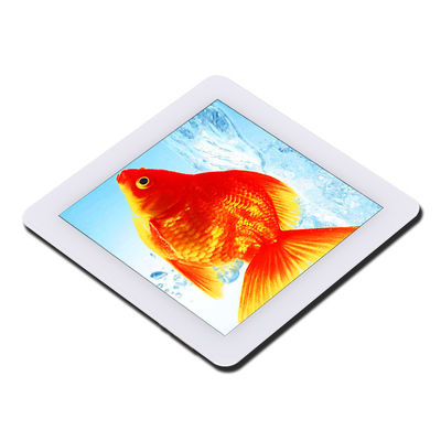 4 inch 0,8 VCI Ips Tft Display Ctp ISO9001 Met I2c-interface